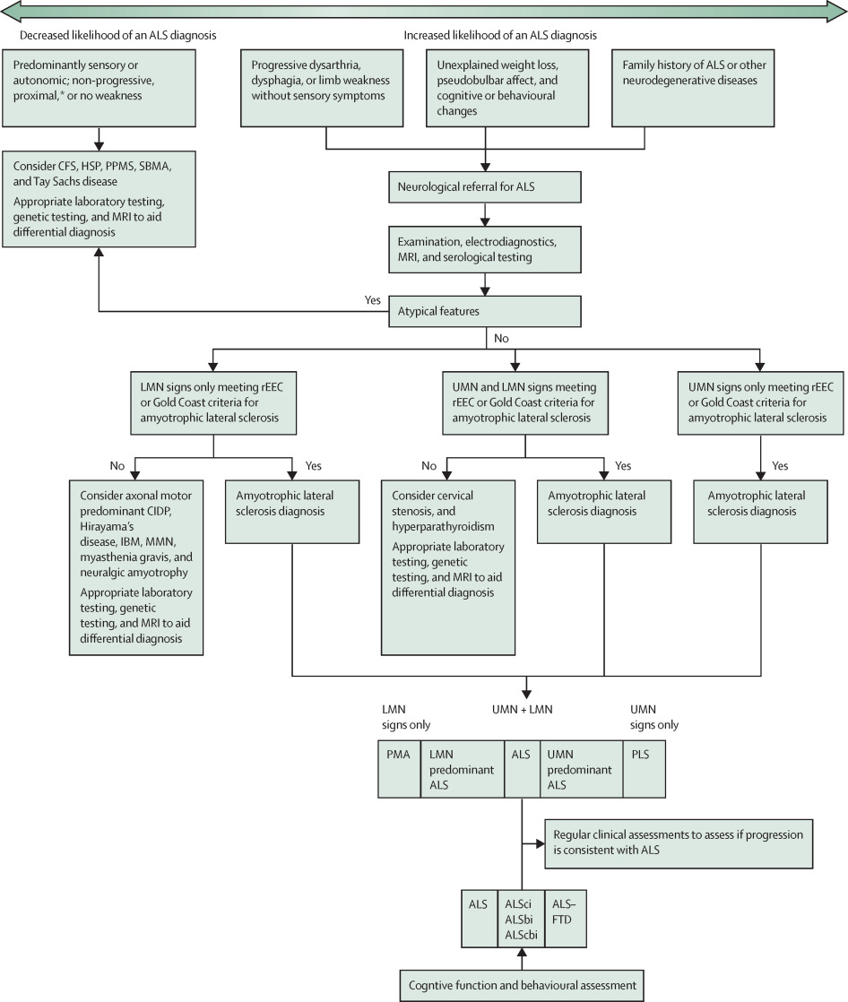 The Lancet, Figure 3: An ALS differential diagnosis chart